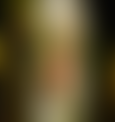 Investigadores encuentran una nueva especie de orquídea