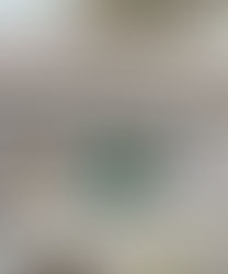 Garcia Macías y Romero Basurto, testigos en la representación del programa anual de auditorias 2021 