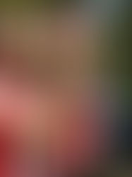 Robles queda fuera del Atlético
