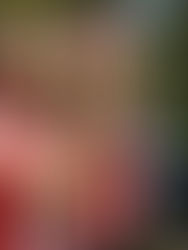 Robles queda fuera del Atlético