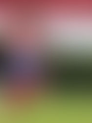 Macías es baja de nuevo