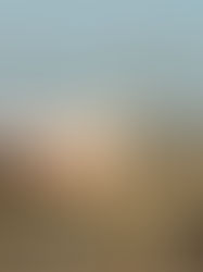 Rusia levanta la moratoria al despliegue de misiles de corto y medio alcance