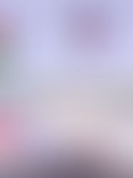 Conago acuerda con AMLO combatir los feminicidios en México