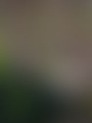 La Sima de las Cotorras; lugar que combina la historia con el turismo de aventura