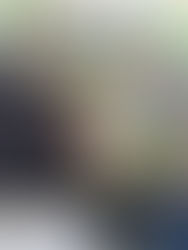 Ayuntamiento de Villaflores inicia entrega de 100 mil aves de traspatio para 10 mil mujeres