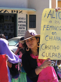 Recortan recursos para la Alerta de Violencia de Género