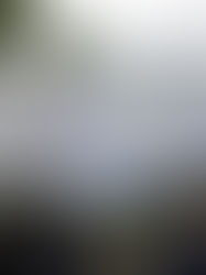 Iglesia pide empatía con realidades difíciles como la de Nicaragua