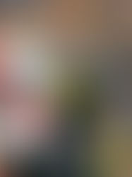 Buscan ganar trofeo en la mesa