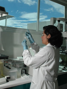 Silanes, el laboratorio mexicano que analiza una molécula contra Covid-19