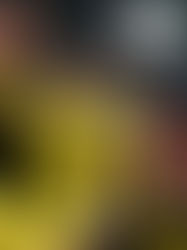 El Villareal echa al Bayern