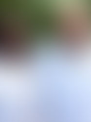 Chiapas es reconocido a nivel internacional por impulsar vacunación en población indígena