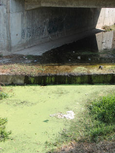 Aguas residuales, de los principales contaminantes de cuerpos de agua