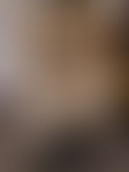 Entre aplausos, Frida la célebre perrita rescatista, se jubiló este lunes