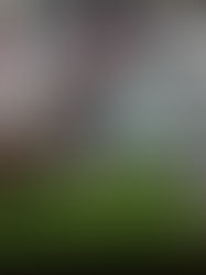 La inflación de México baja al 4,79 % en julio, su menor nivel desde marzo de 2021