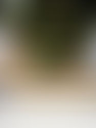 Al menos 15 estados en foco rojo por delitos de crimen organizado