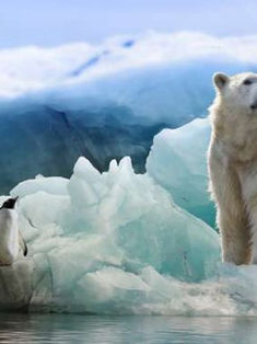 Las cinco especies más amenazadas del mundo