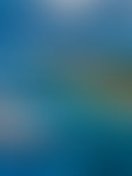 El turismo en el Caribe mexicano resiste a la pandemia