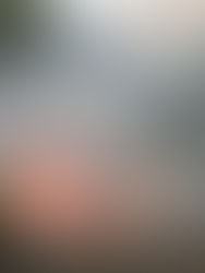 Suman esfuerzos para mitigar incendios en Chiapas 