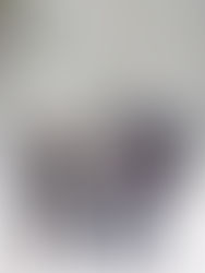 Los humanos que alimentaban a los lobos pudieron ayudar a su domesticación