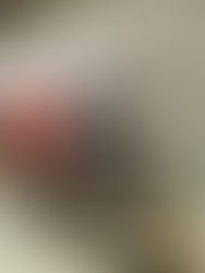 La maquila prevé 9.050 millones de dólares en inversiones extranjeras en 2024