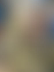 Once fechas para el 2019