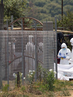 Hallan once cadáveres en una fosa clandestina en Michoacán