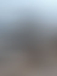 Autoridades buscan yate desaparecido entre Cuba y México tras vuelta de Haití