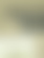 Mercado Libre lanza iniciativa para que Mipymes mexicanas de alimentos se digitalicen