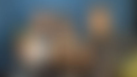 Los Pistonudos preparan rodada navideña para este 19 de diciembre