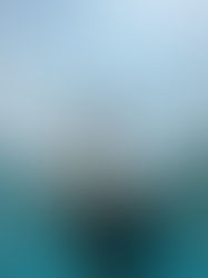 Balché: la bebida sagrada de los lacandones que conecta con los dioses mayas