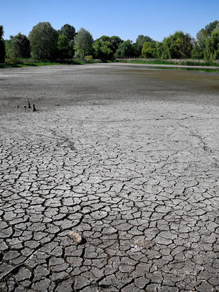La sequía amenaza a un número creciente de países en todo el planeta