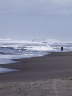 Monitoreo reciente determina que playas chiapanecas son aptas para vacacionar