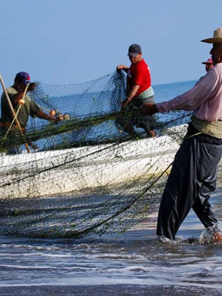 Precio del diésel afecta competitividad de industria pesquera