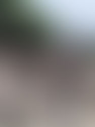 Cuatro muertos tras un terremoto en el norte de Filipinas