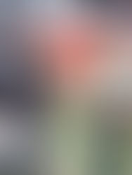 Un juez de Texas bloquea temporalmente un plan de regularización de inmigrantes de Biden