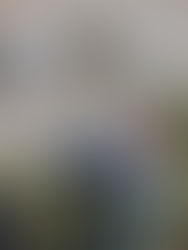 Migrantes quedan varados en el río Bravo y EU con temperaturas de 2 grados