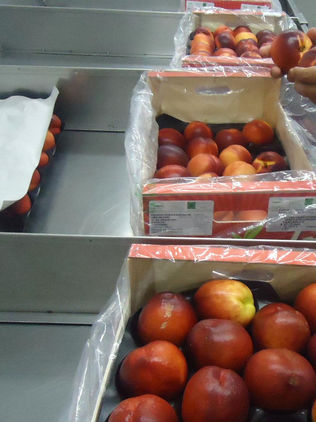 Advierten de contaminación por bacteria en productos de HMC Farms