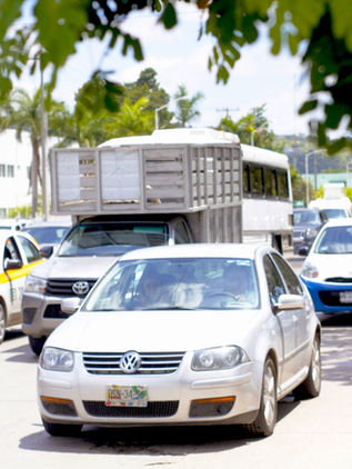 Mejora venta de autos en este 2021 en Chiapas  