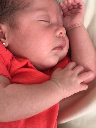 Los brotes de crecimiento