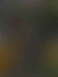 Al menos 6 muertos y 180 vehículos atacados deja "paro armado" en Colombia