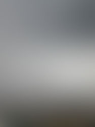 Temporal causa estragos en la zona Norte de Chiapas  