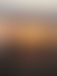 Sector productivo del soconusco espera repunte económico