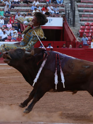 El sector taurino exhorta a respetar a fallos jurídicos