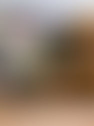 Esperanza DÃaz Hernández: guardiana del arte tradicional en Chiapa de Corzo