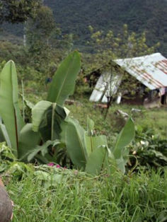 Pueblos indígenas ayudan a conservar los recursos naturales