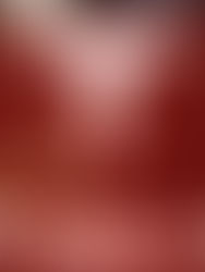 Tesla podría anunciar en próximos días una nueva fábrica en Nuevo León