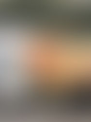 Bimbo suspende ventas de sus productos e inversiones en Rusia