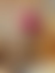 "Preservar no es prohibir: Venustiano Carranza y el golpe a su propia herencia cultural"