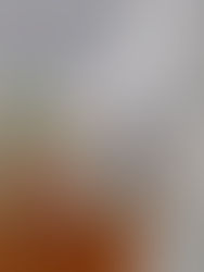 Científicos israelíes descubren con éxito posible vacuna para el COVID-19 en roedores