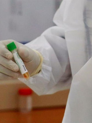 Científicos israelíes descubren con éxito posible vacuna para el COVID-19 en roedores